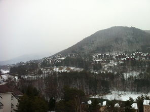 同样孤悬敌后，31师91团安全脱险而180师损失惨重，91团如何做到