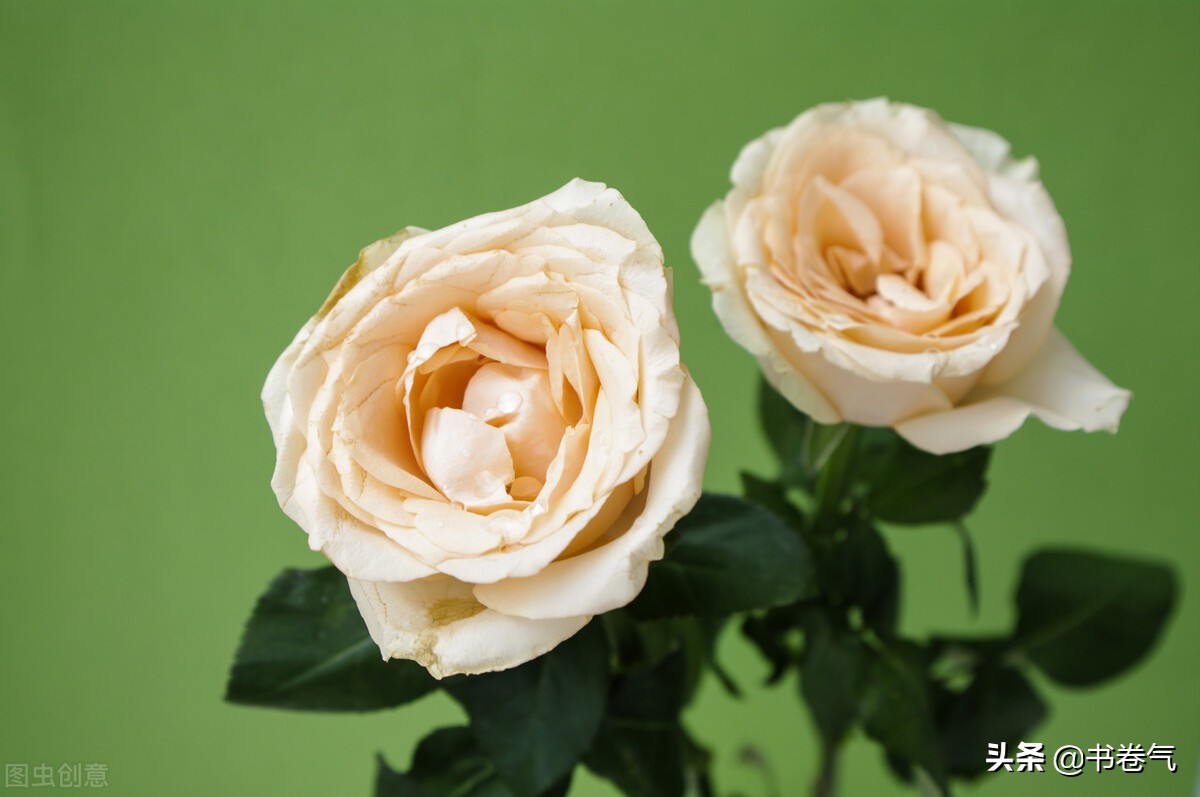 对你有好感的女生会接你语音吗,女人对你有好感会说这三个话