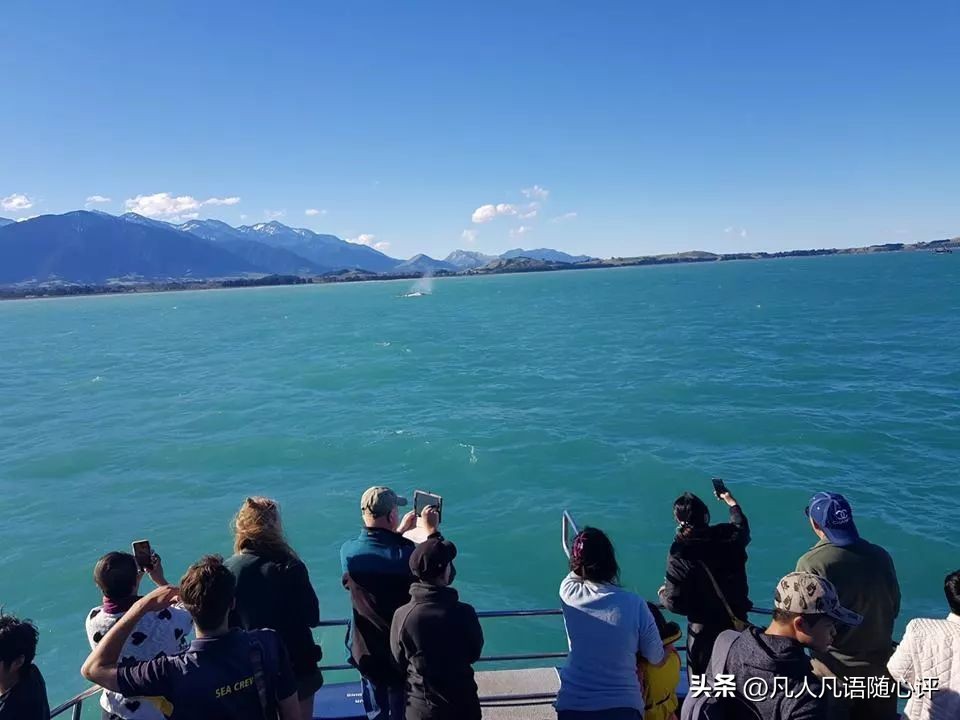 浪漫、纯净、刺激…我想要的精彩尽在新西兰