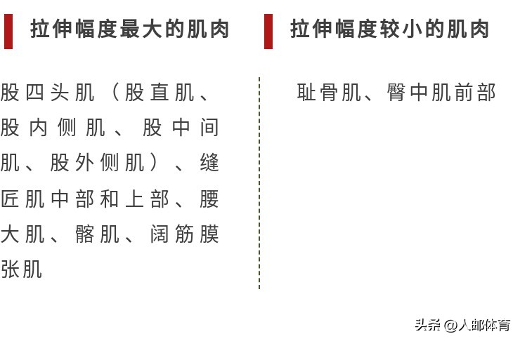 在沙发上锻炼,久坐一族伸展练习方法