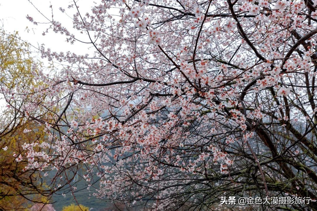 3月份去西藏林芝,3-4月去西藏林芝好玩吗