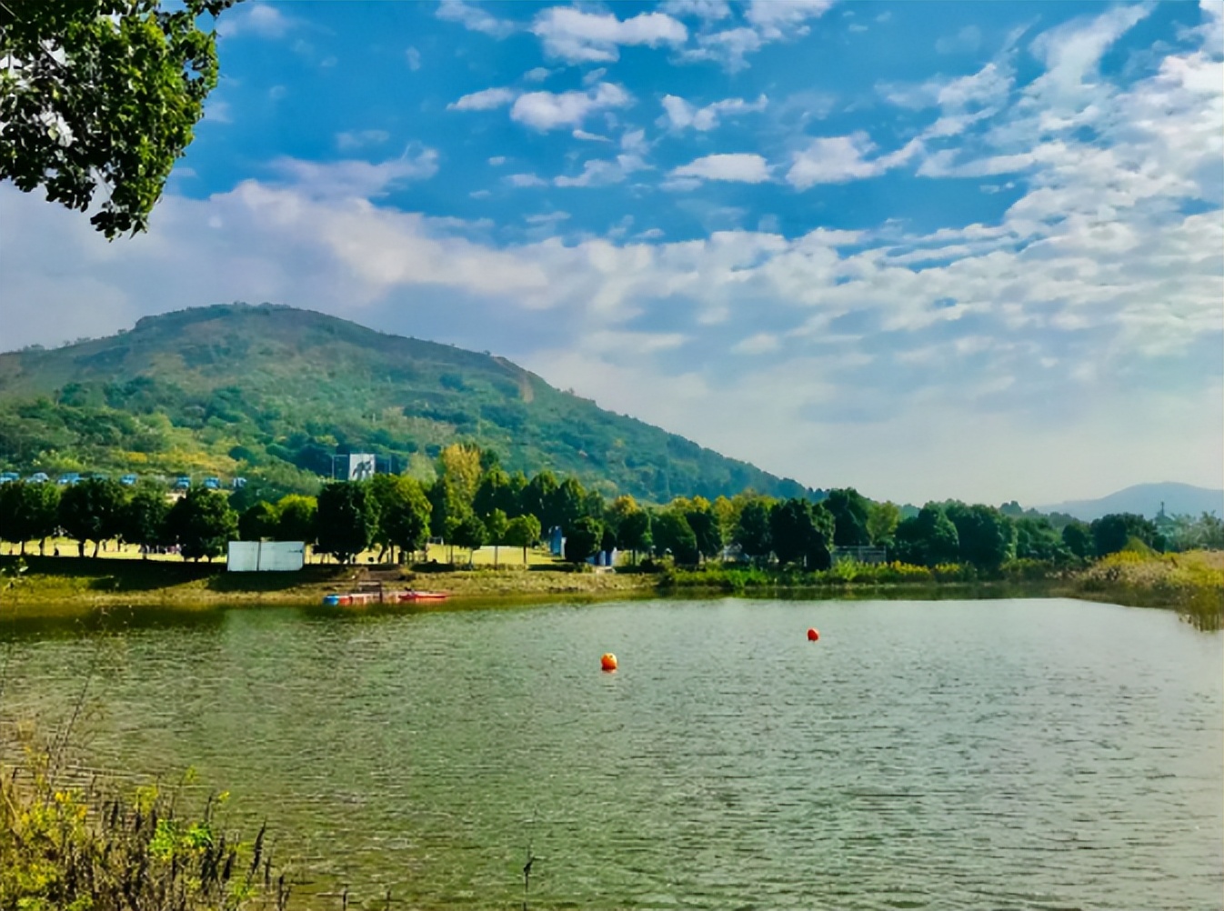 合肥五一旅游超全攻略,合肥五一出游攻略