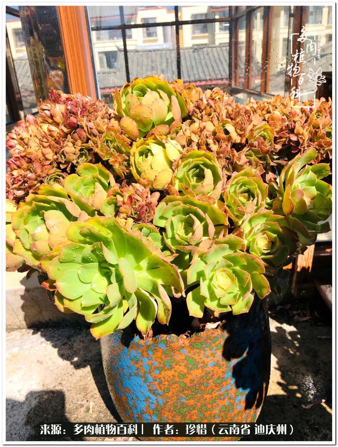 给生命一份淡然还岁月一份从容,给生命留一份洒脱的话