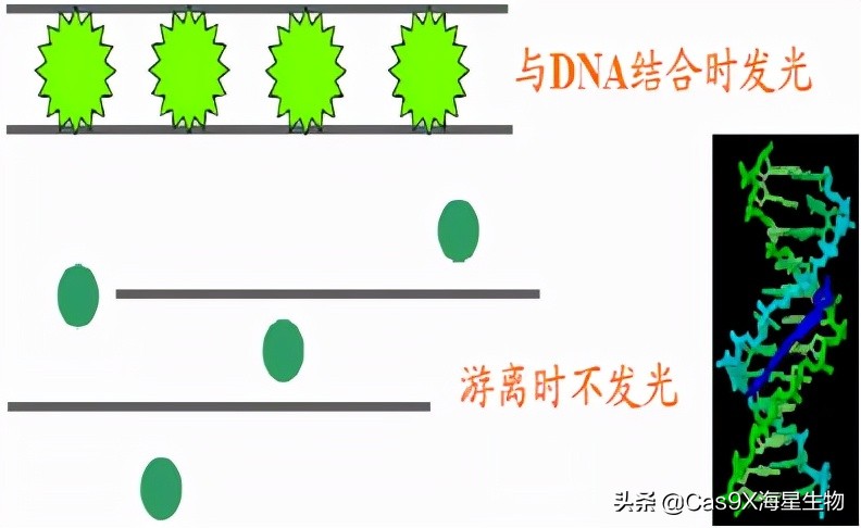 实时荧光定量pcr检测乙肝参考值,实时荧光定量pcr试剂盒