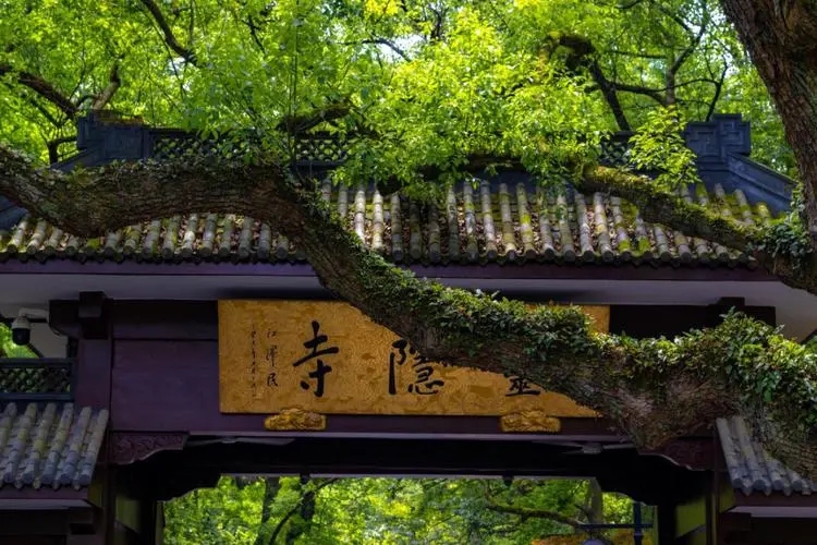 中国最赚钱十座寺庙,中国最有钱的寺庙少林寺
