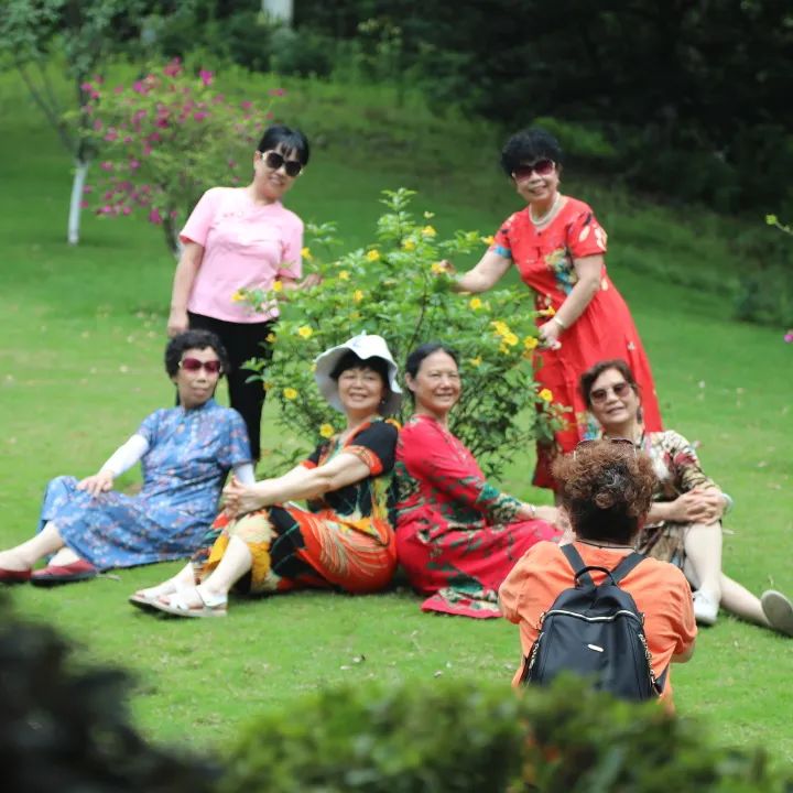 荷你有约周末去武隆逛荷花节可好,今夏荷你有约新余已开启赏荷模式