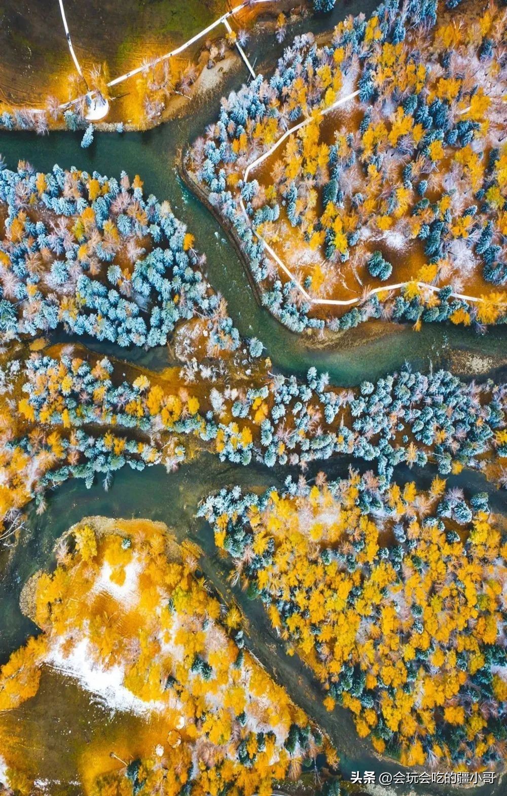 2023国内最适合秋游的地方！退休必看、人少实惠！去了就不想回家