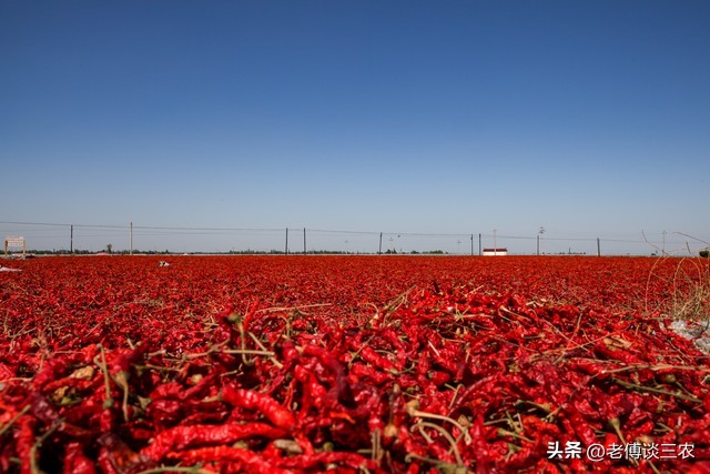 食用农产品市场管理办法,食用农产品管理新规发布