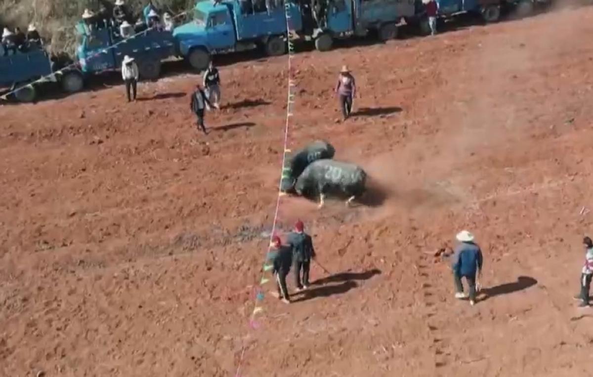 创业失败负债四十万妻子不离不弃,女人创业失败负债37万