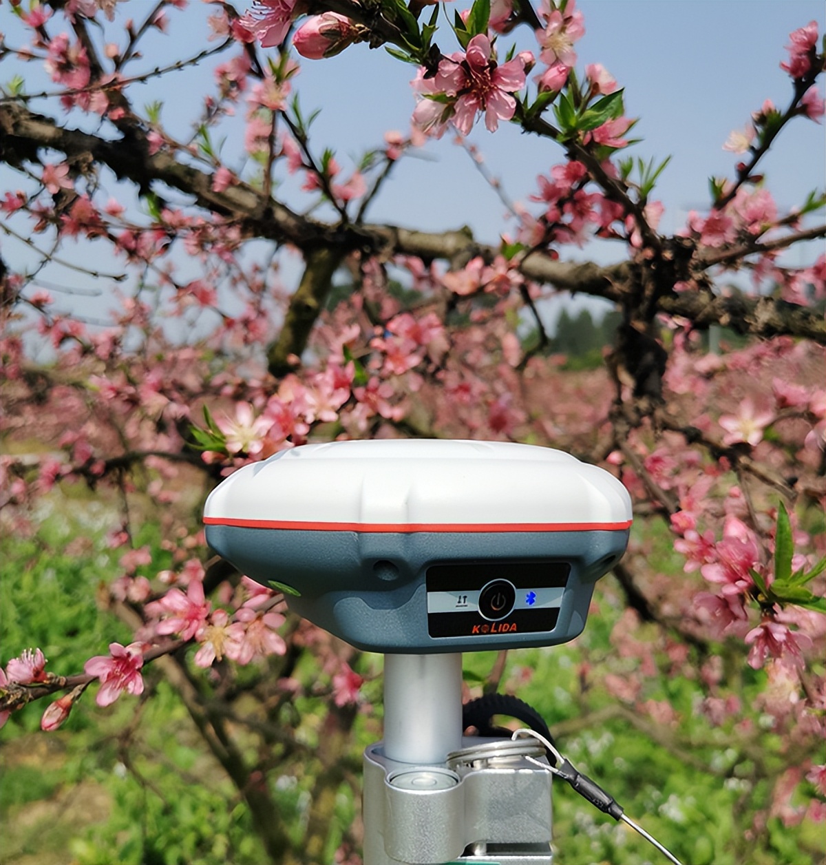 科力达rtkcad放样不显示偏距,科力达cad放样坐标和rtk坐标不一致