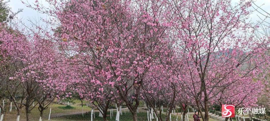 耶！乐至又出太阳啦~推荐你去这儿耍→