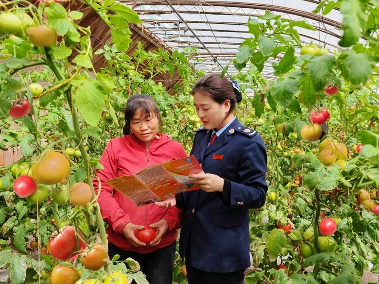 高台税务局,高台税务