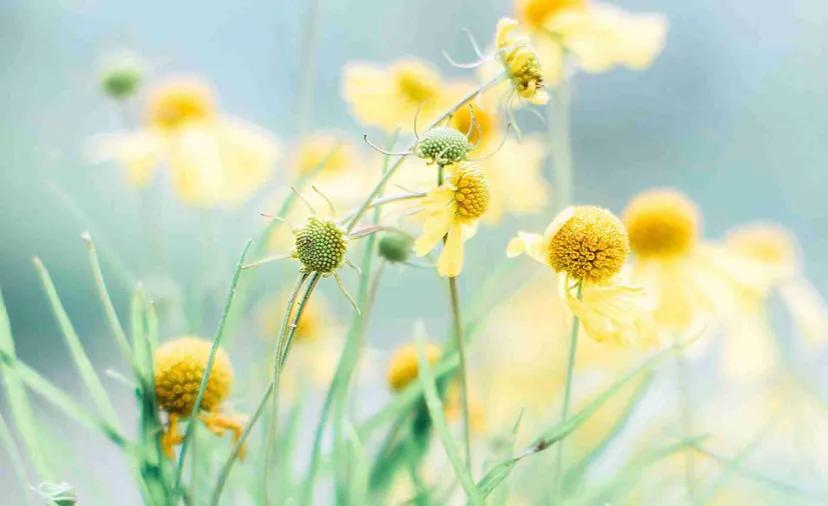 婆婆老想让我生儿子,婆婆想让我生男孩