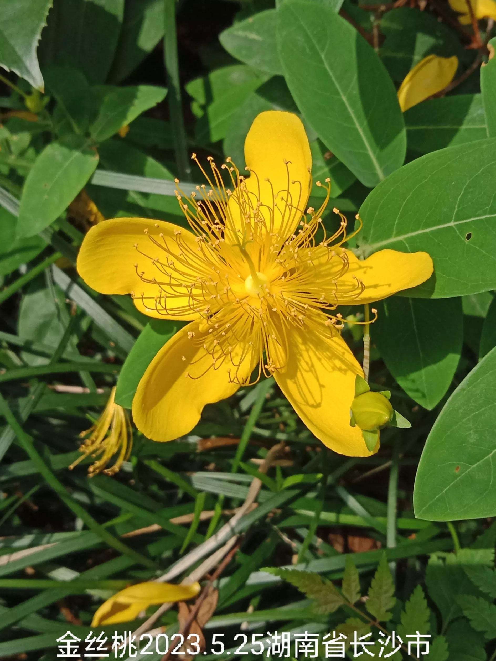 微信群忘保存找不到怎么办,微信群没保存通讯录丢失怎么找回