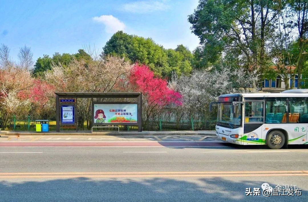 温江347路公交车站牌,温江公交35路站牌