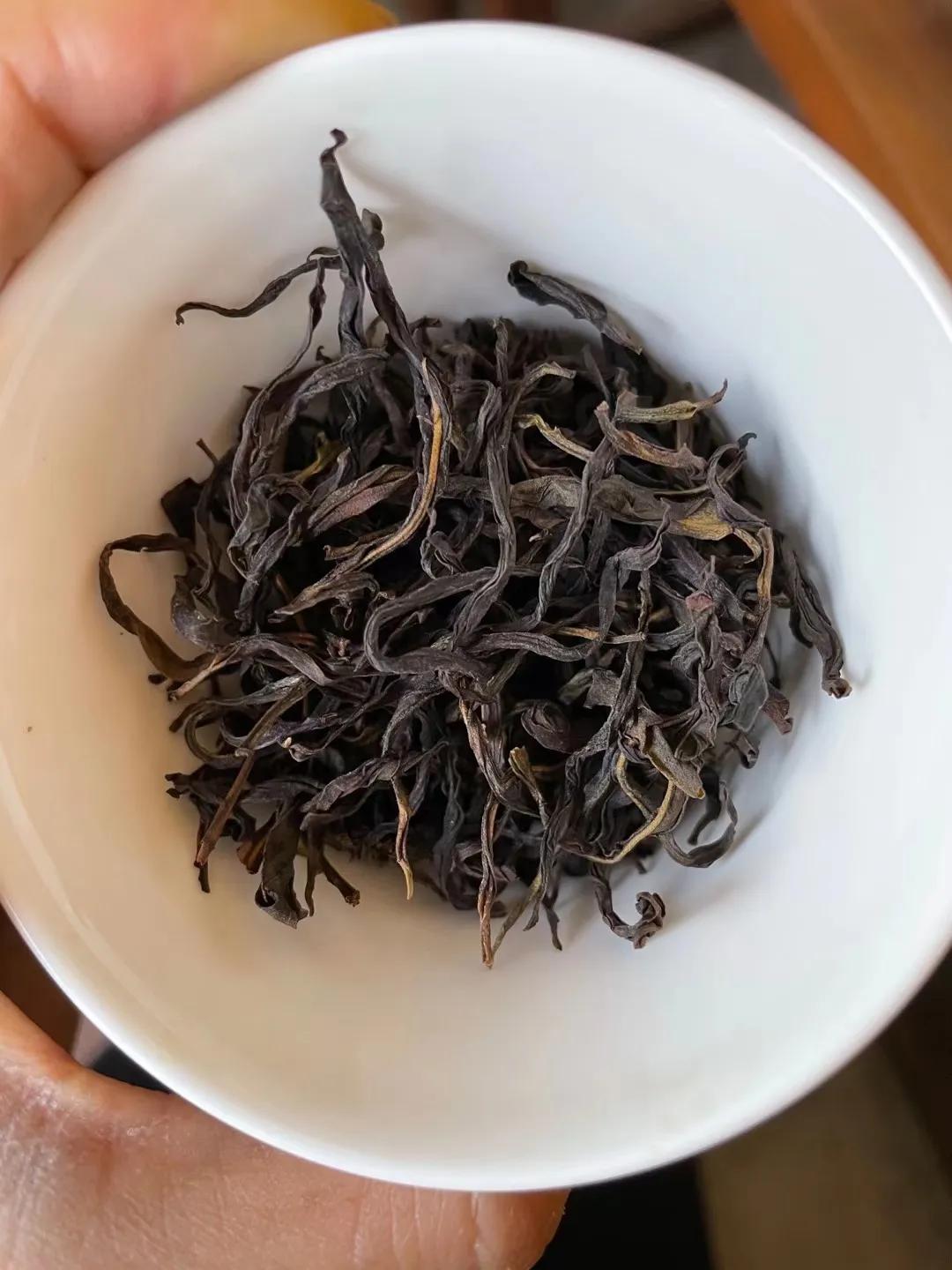 凤凰单丛茶由来,凤凰单丛茶清香型