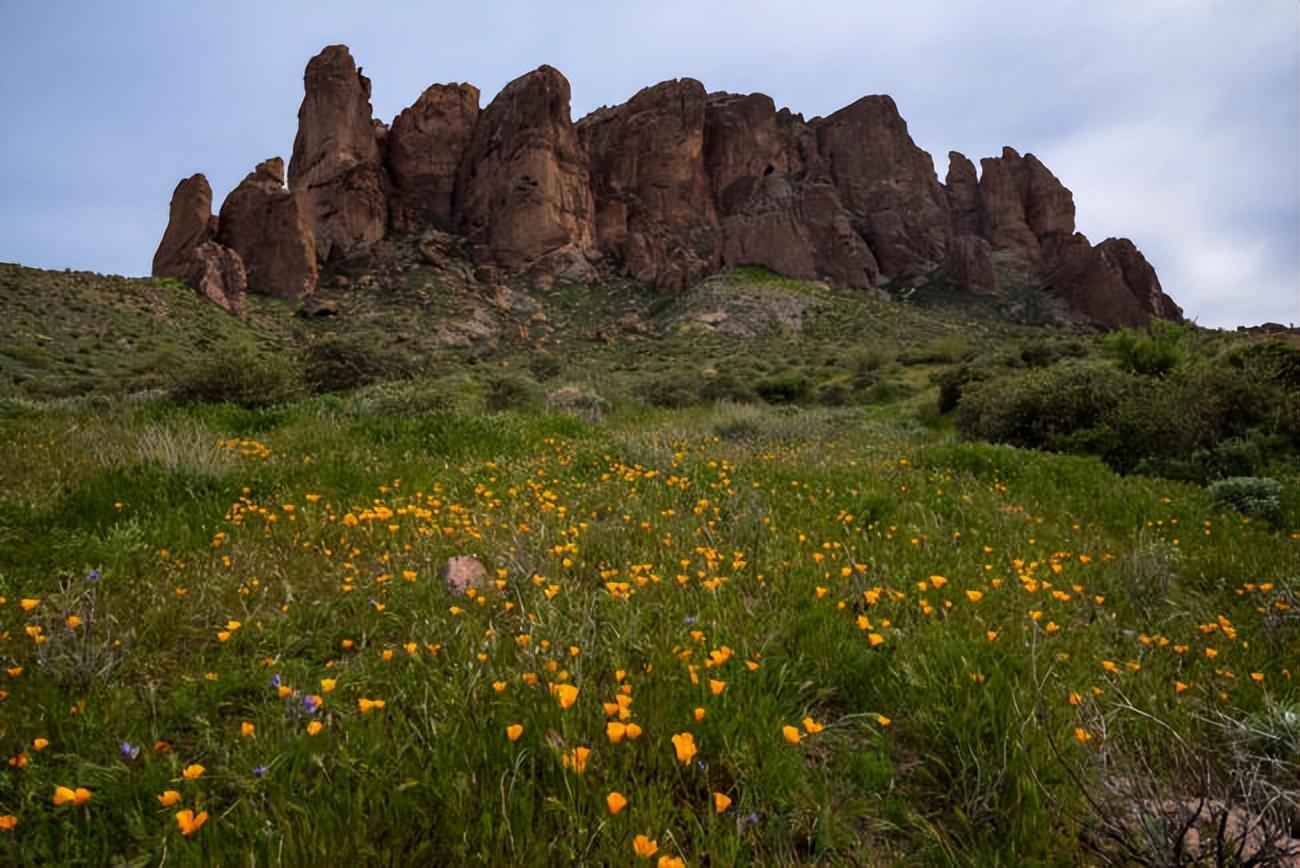 2022最佳摄影手机,适合摄影师处理图片的8寸笔记本