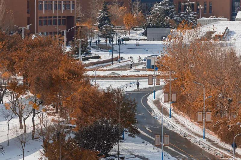 我，武汉IBM员工，为求婚创业，全款买独栋别墅，肠子都悔青了