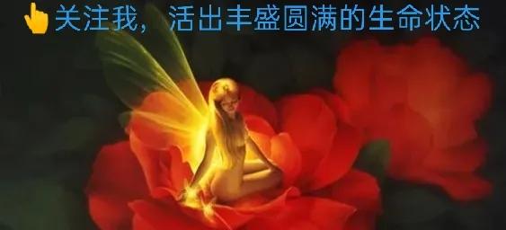 自媒体如何赚钱又快又稳,自媒体赚钱全面指南和实操技巧