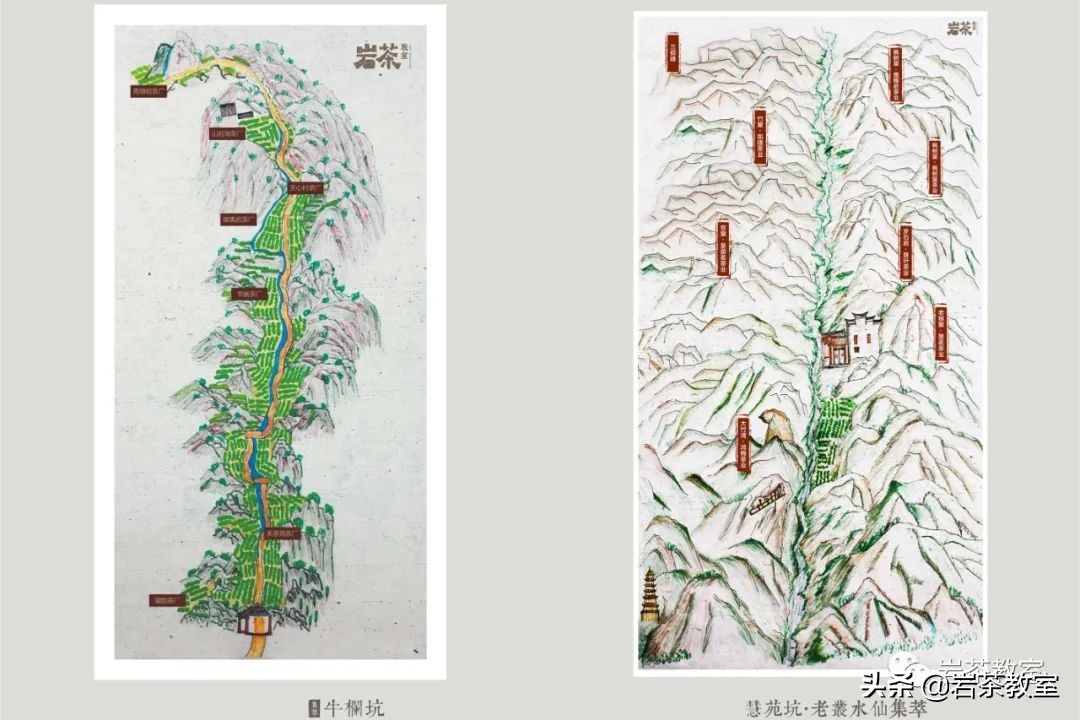 岩茶焙火重喝了会不会上火,喝岩茶真的会上火吗