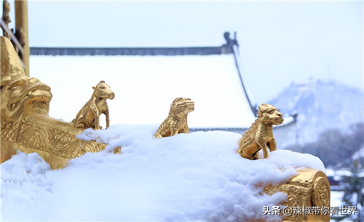 忻州一日游五台山雁门关忻州古城,五台山雁门关忻州古城三日游