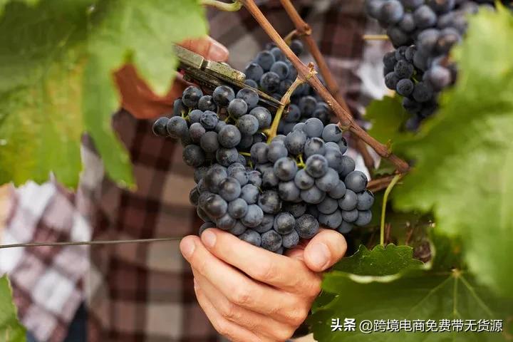 俄罗斯电商是如何做推广的,俄罗斯市场电商怎么操作