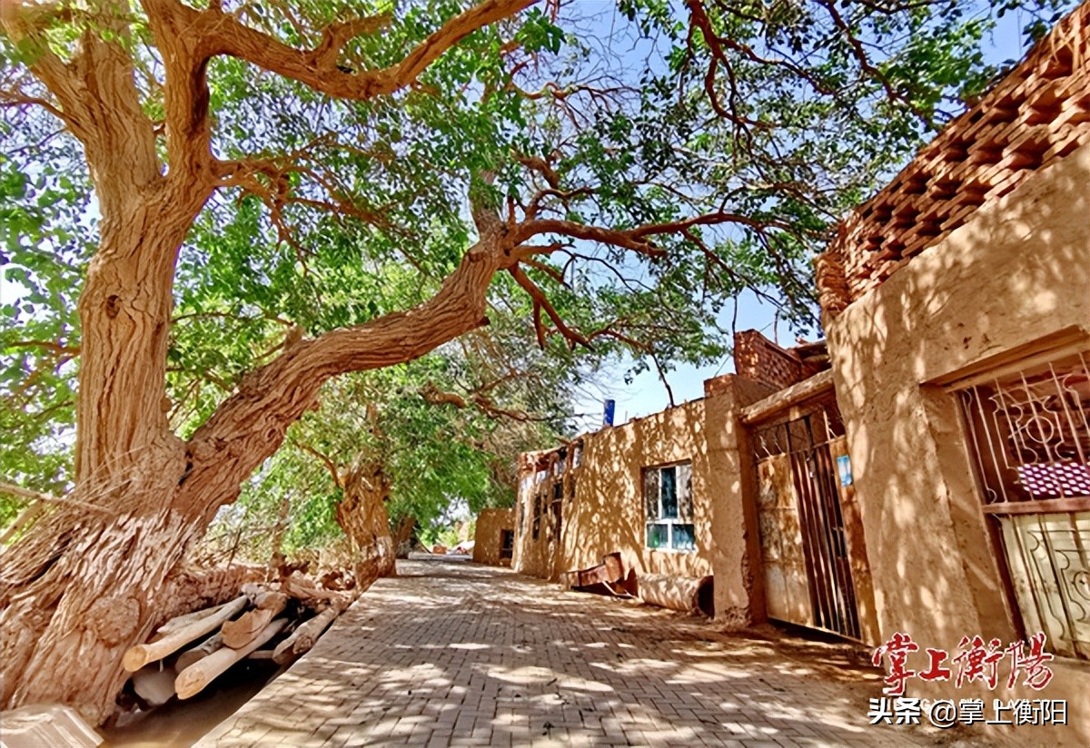 鄯善，光听名字就很神秘