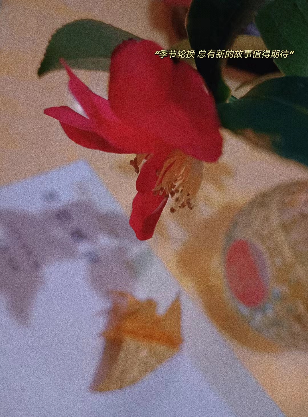 桃李春风一杯酒江湖夜雨十年灯寓意,桃李春风一杯酒江湖夜雨十年灯王志文