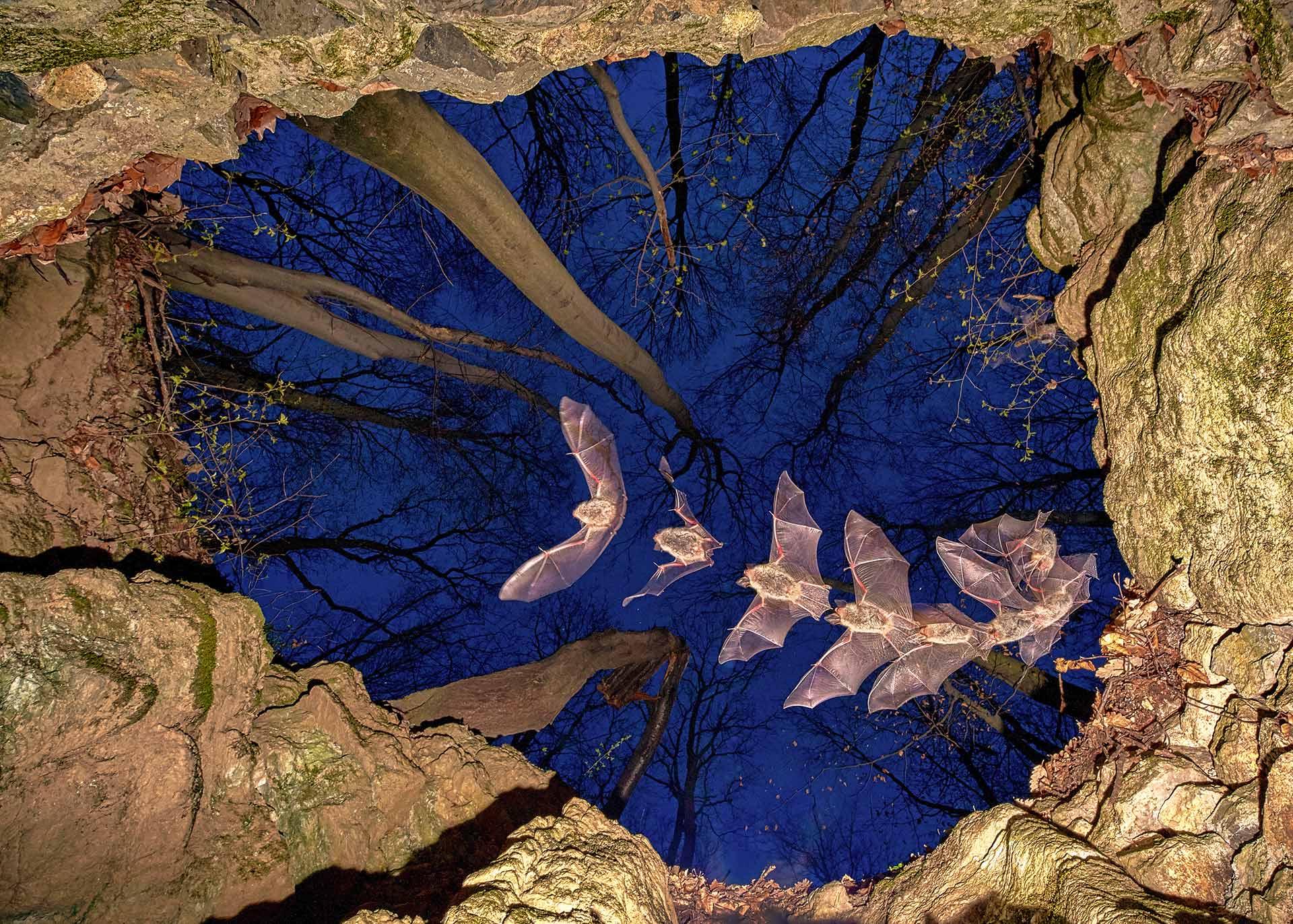 自然就是美,自然就是美歌曲