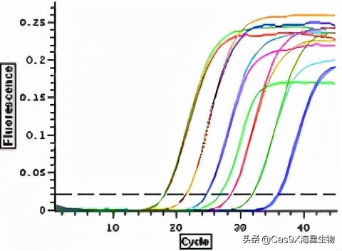 实时荧光定量pcr检测乙肝参考值,实时荧光定量pcr试剂盒