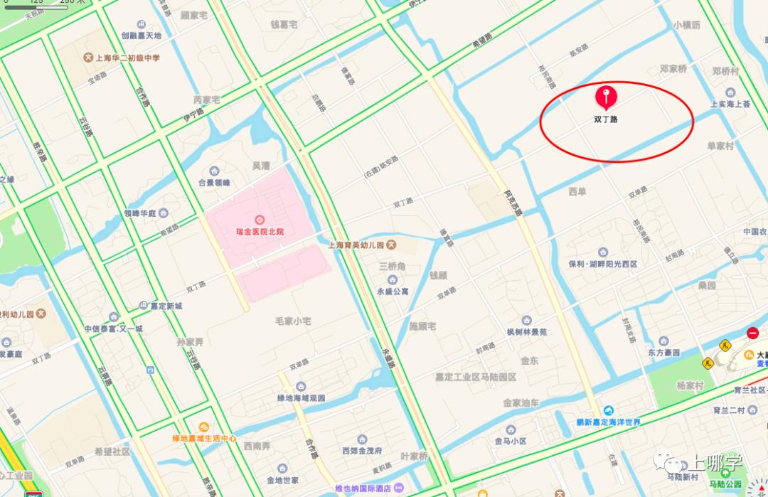 上实2024年招生简章,上实秋招