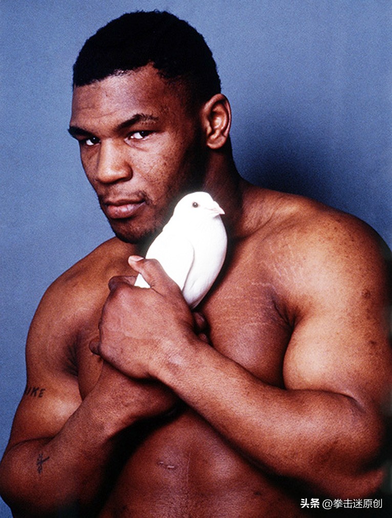 拳王泰森十大经典ko,泰森教练给泰森教拳视频