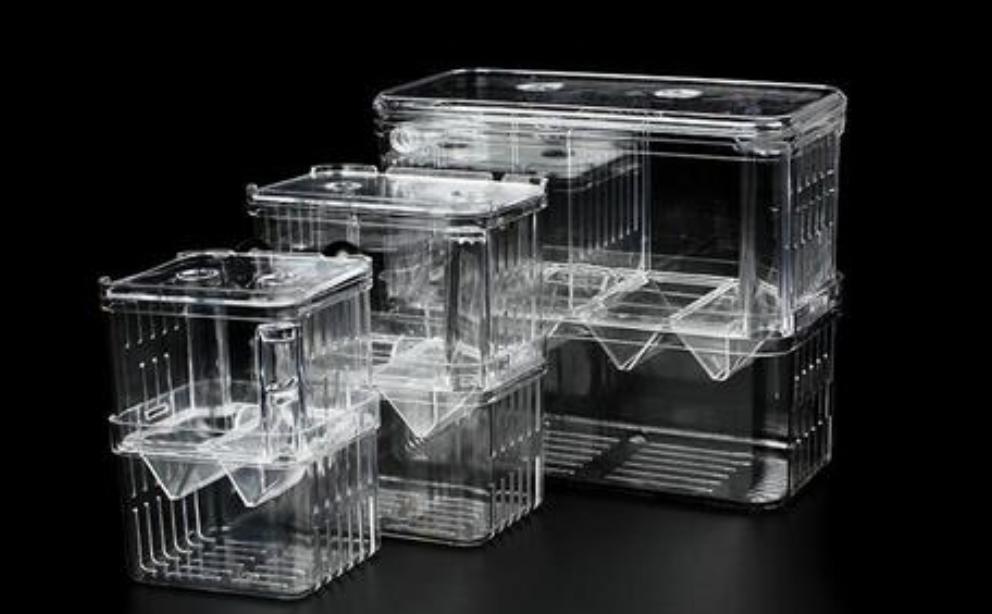 孔雀鱼养殖需要的设备,新手养孔雀鱼需要哪些设备