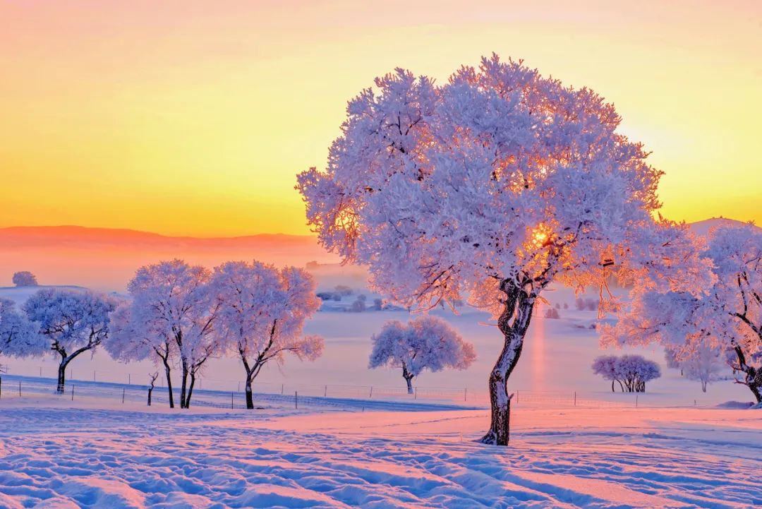 还剩10天!如何安全有仪式感地迎接元旦?这14条周边短线值得一去