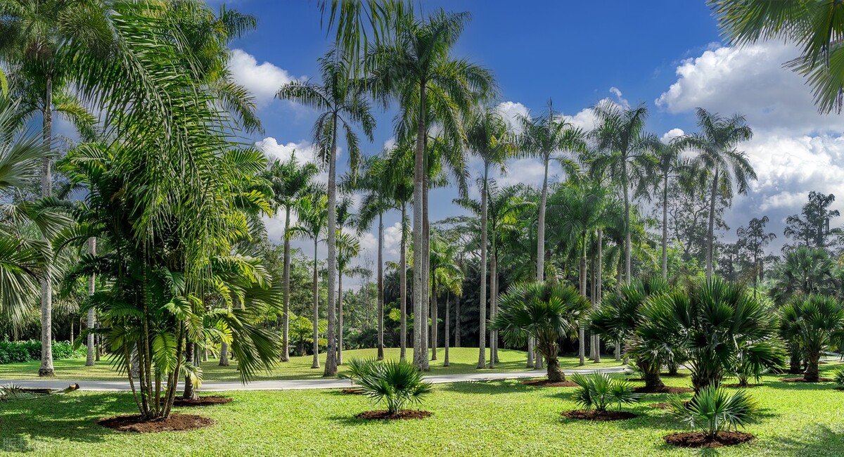 西双版纳避寒避暑的雨林仙境,西双版纳避寒过冬优缺点