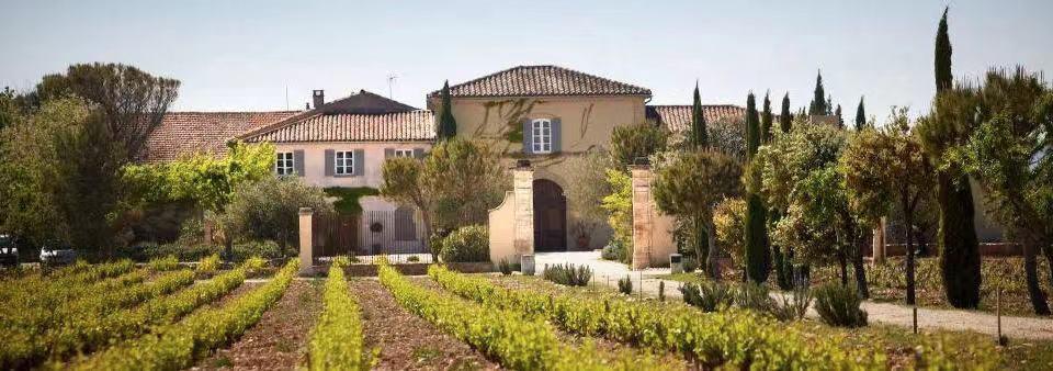 张庭涉嫌传销确定了吗,张庭公司涉嫌传销被查是真的吗