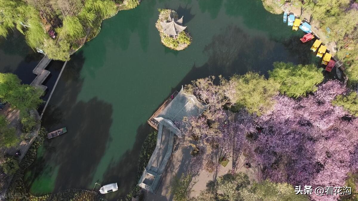 河南西华县是哪个市,西华县各个地方的介绍