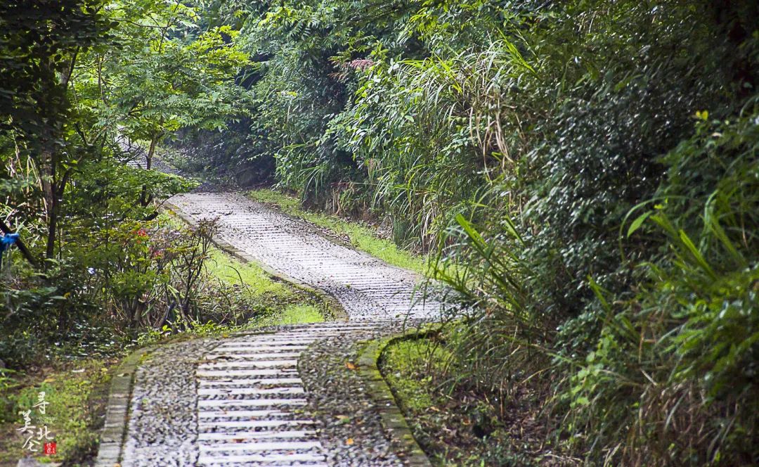 北仑步道爬山,北仑爬山路线