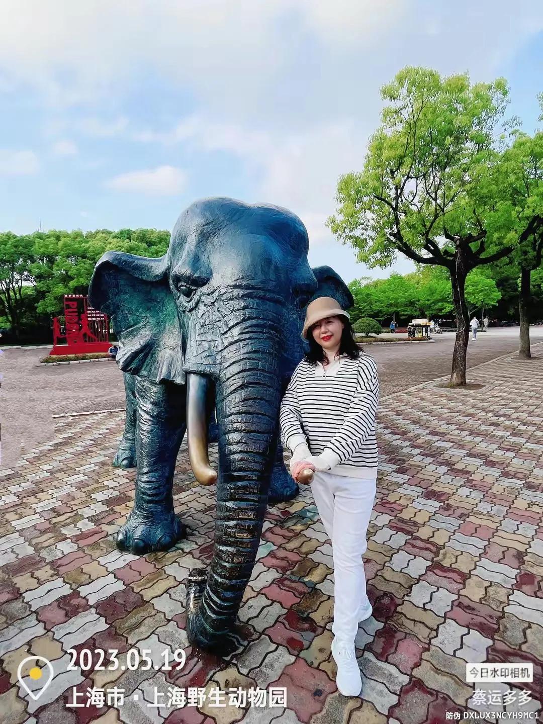 上海野生动物园和上海动物园,上海野生动物园过年营业时间