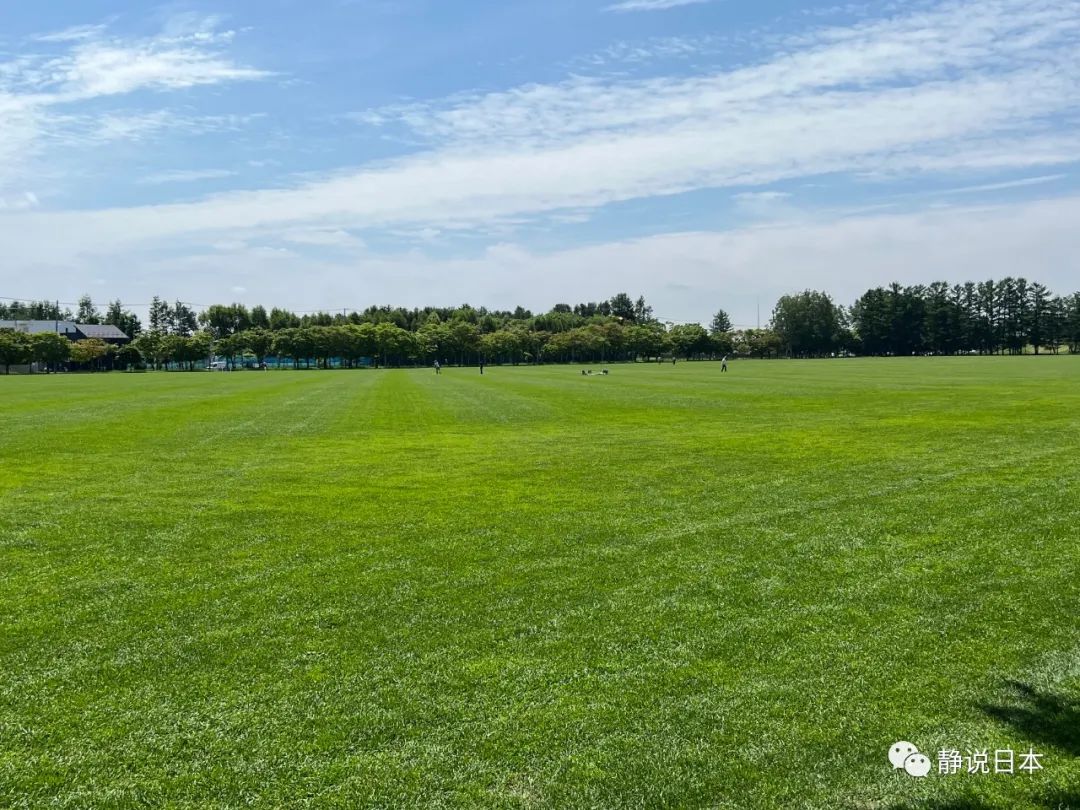 日本北海道房屋改造,去日本北海道条件