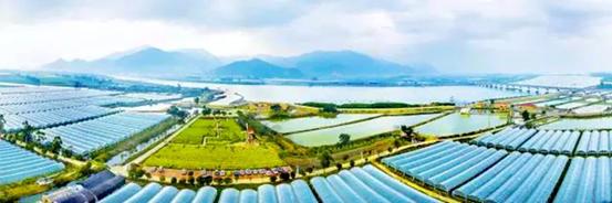 云霄县省级现代农业产业园（枇杷蔬菜）项目发展情况