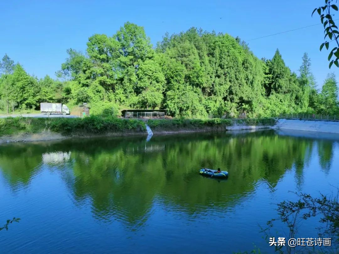 “蓝”不住的“莓”好！旺苍木门蓝莓基地明天开园（文中有福利）