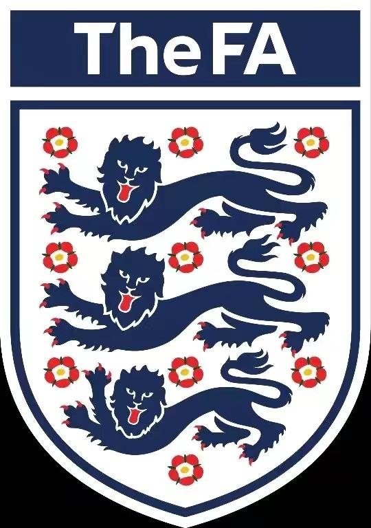 中国足球为什么搞不好,中国足球落后于世界水平的原因