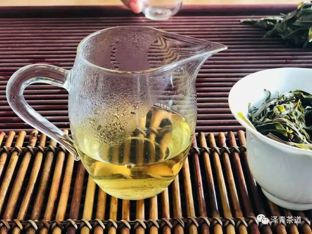 泡新茶普洱茶的正确方法,普洱春茶冲泡