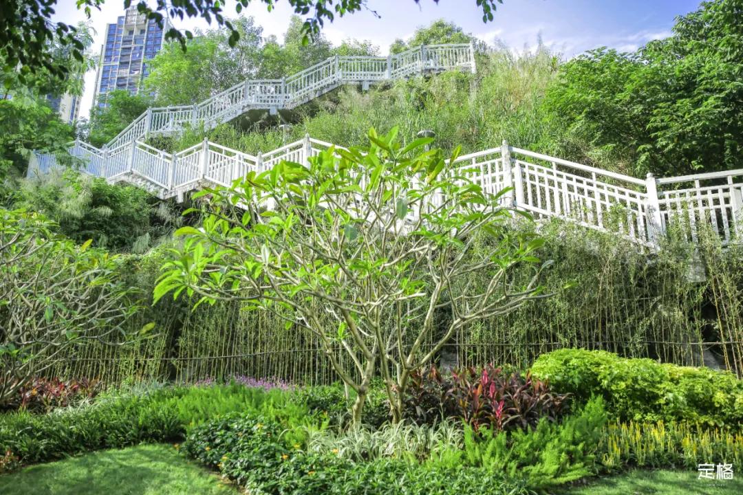 深圳百米长「纯白登山梯」，打卡绝了