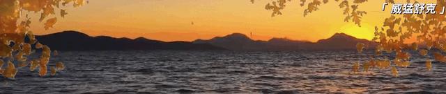 这一次，陈冰的“爆料”，撕开了“苟苟营”最后的“遮羞布”