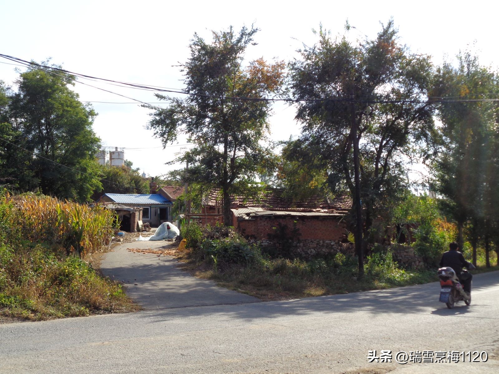 地名档案|旁新线公路沿线村庄之四：沈北新区马刚街道依路村