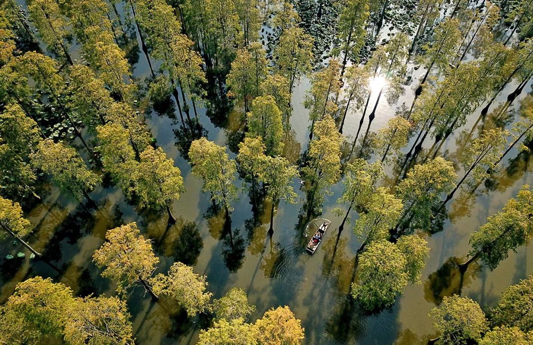 武汉未来五年的发展规划,武汉好消息
