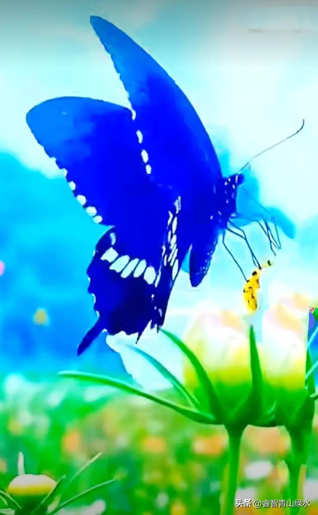 让我痴，让我醉，让我爱你没商量。