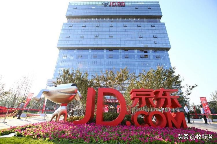 京东民营企业第一名揭秘,京东成为第一大民企的原因